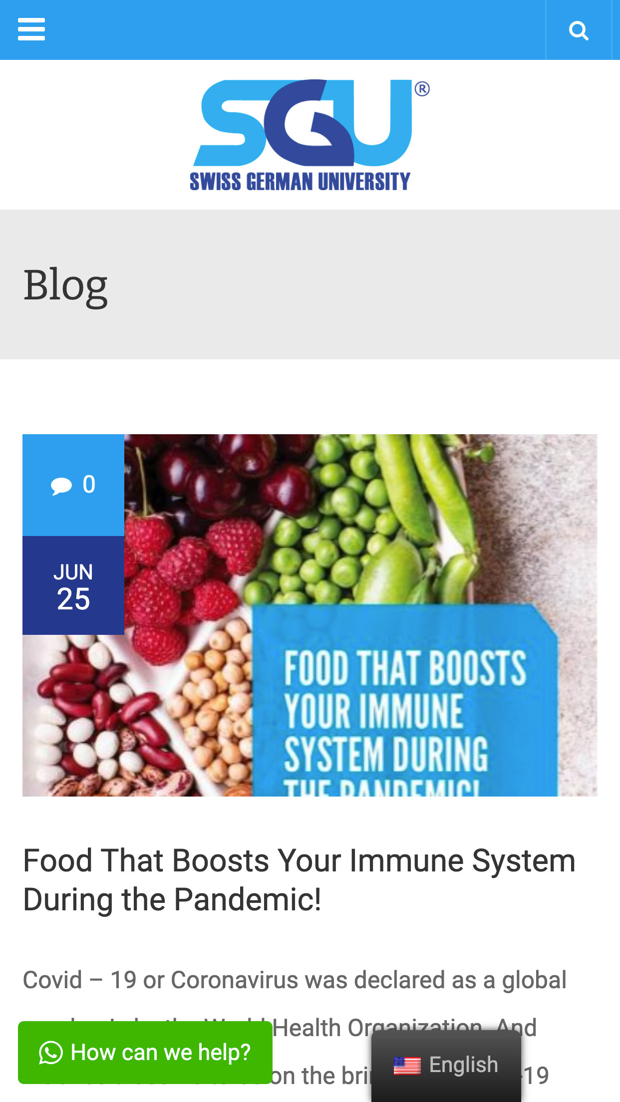 Blog Page Mobile Preview